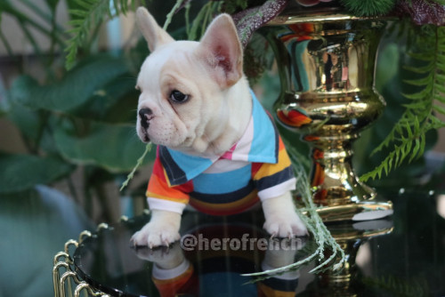 M ๑๙๑๒๑๓ 0006