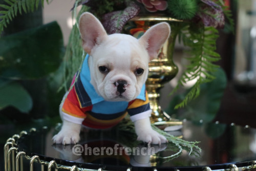 M ๑๙๑๒๑๓ 0007