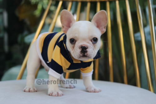 Male ?? ๑๙๑๒๑๓ 0007