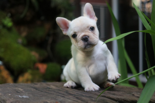 Male0001 191201 0006