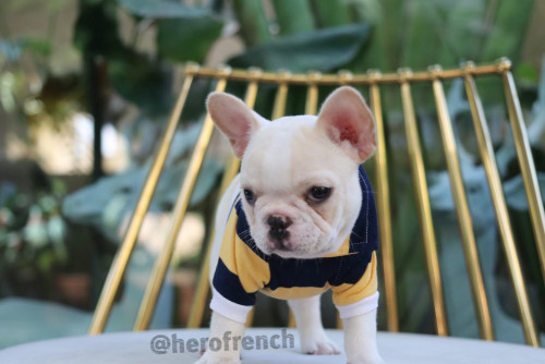 Male ?? ๑๙๑๒๑๓ 0003