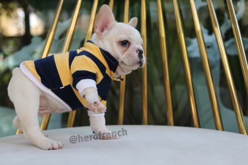 Male ?? ๑๙๑๒๑๓ 0006