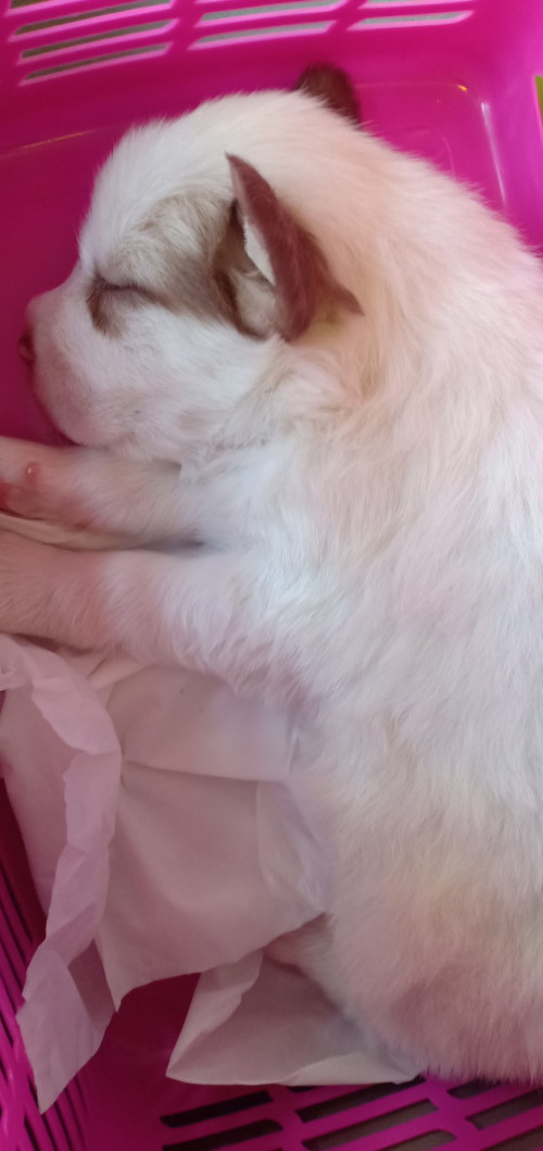 IMG20191214144305 870x1842