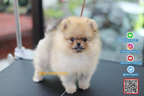 M03122 Edit 191204 0001