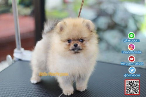 M03122 Edit 191204 0002