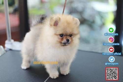 M03122 Edit 191204 0007