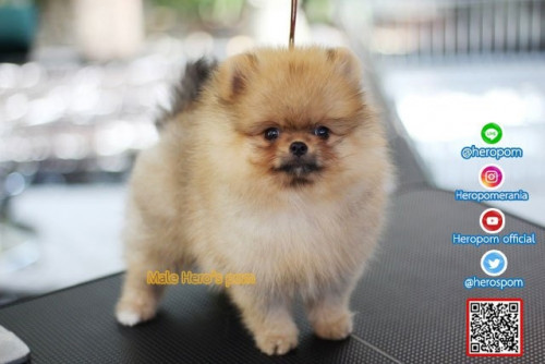 M03122 Edit 191204 0013