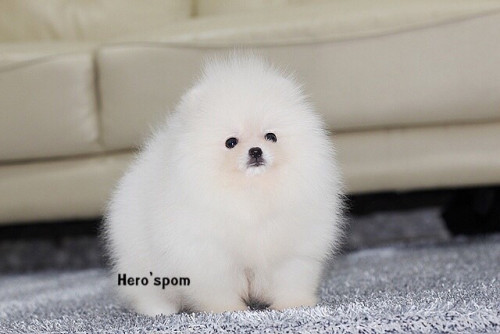 เมีย14122 191214 0003