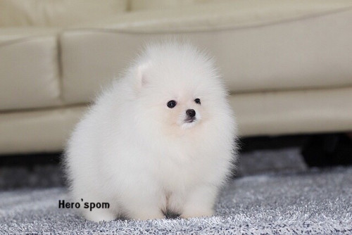 เมีย14122 191214 0004