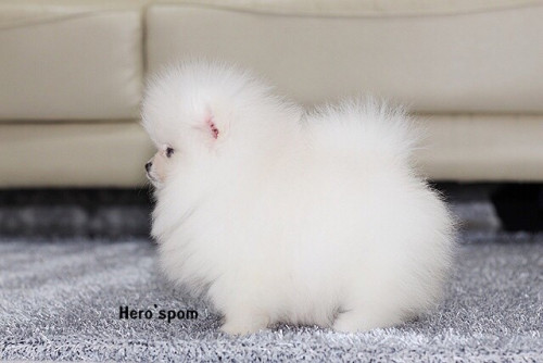 เมีย14122 191214 0007