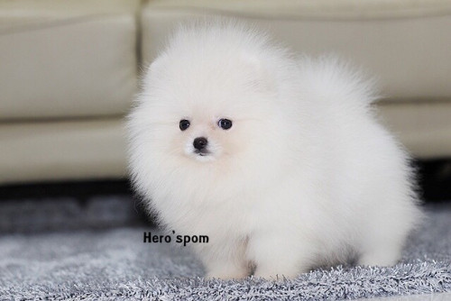 เมีย14122 191214 0008