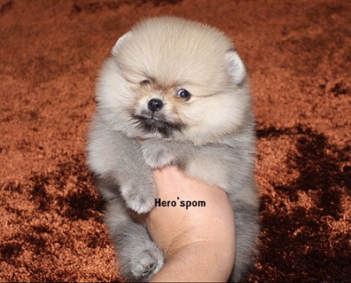 F171 ๑๙๑๒๑๗ 0004