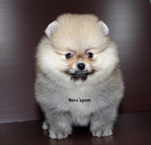 F171 ๑๙๑๒๑๗ 0009