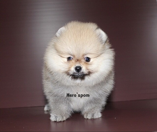 F171 ๑๙๑๒๑๗ 0010