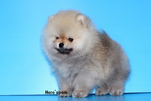 เมีย14125 191214 0003