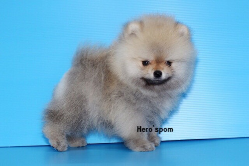 เมีย14125 191214 0007