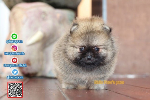 M04121 Edit 191207 0004