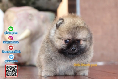 M04121 Edit 191207 0007