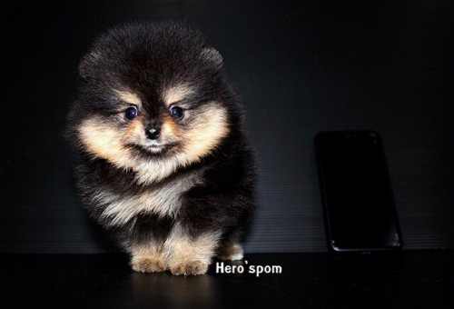 F19121 ๑๙๑๒๑๙ 0001