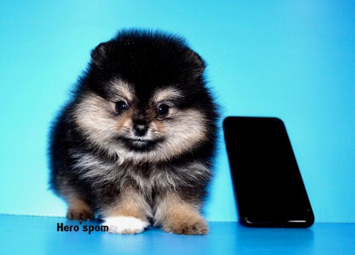 F19122 ๑๙๑๒๑๙ 0005