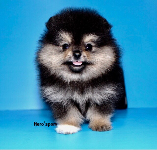 F19122 ๑๙๑๒๑๙ 0015