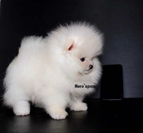 F191 ๑๙๑๒๑๙ 0011