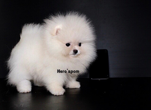 F191 ๑๙๑๒๑๙ 0012