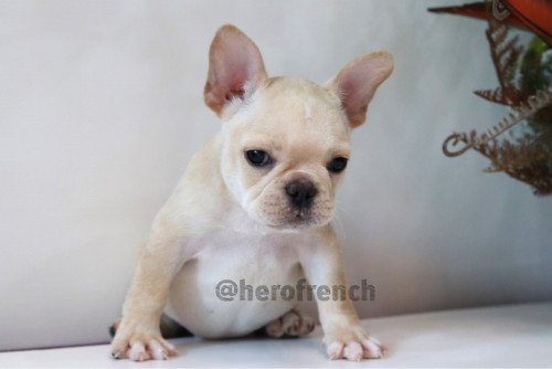 Female ??? 191218 0002