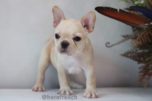 Female ??? 191218 0004