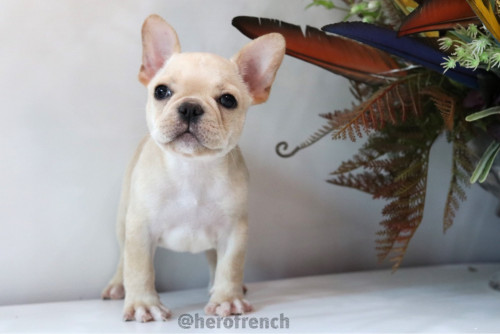 Female ??? 191218 0005