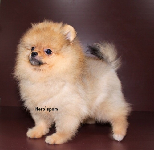 M19123 ๑๙๑๒๑๙ 0011