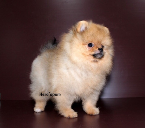 M19123 ๑๙๑๒๑๙ 0015