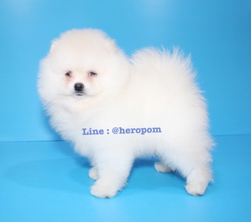 Male cream 191221 0004