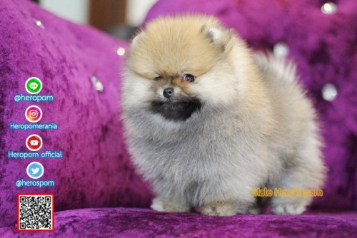 M05125 Edit 191207 0002