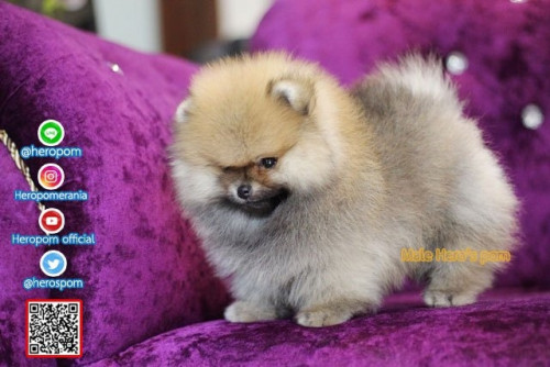 M05125 Edit 191207 0011