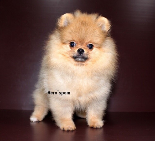 M19123 ๑๙๑๒๑๙ 0001