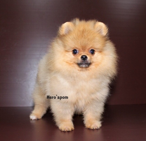 M19123 ๑๙๑๒๑๙ 0008