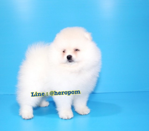 Male cream 191221 0006