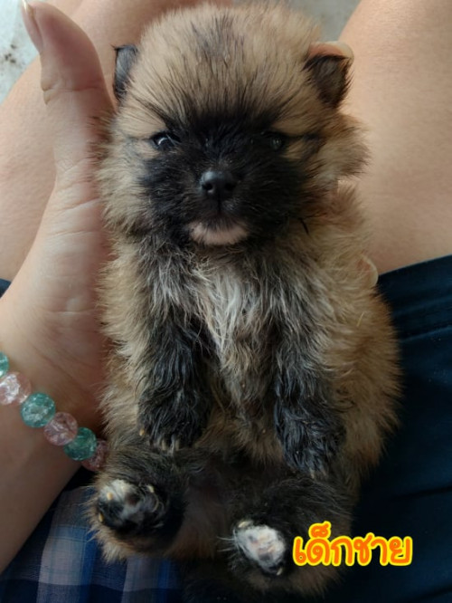 80072043 499562407351870 438058914408300544 n