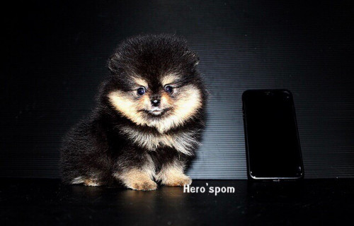 F19121 ๑๙๑๒๑๙ 0003