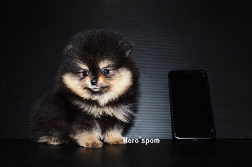 F19121 ๑๙๑๒๑๙ 0004