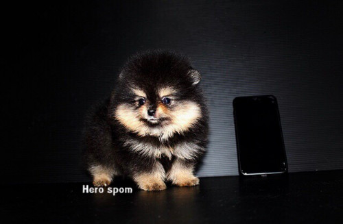 F19121 ๑๙๑๒๑๙ 0007