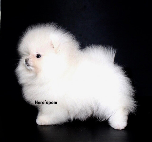 F191 ๑๙๑๒๑๙ 0002