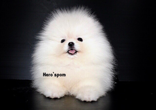 F191 ๑๙๑๒๑๙ 0003