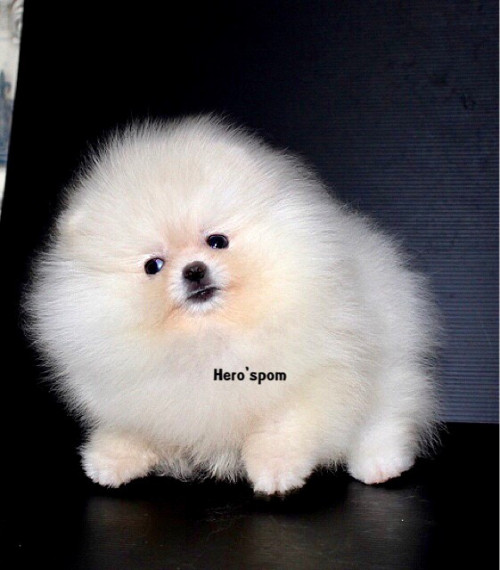 F191 ๑๙๑๒๑๙ 0008