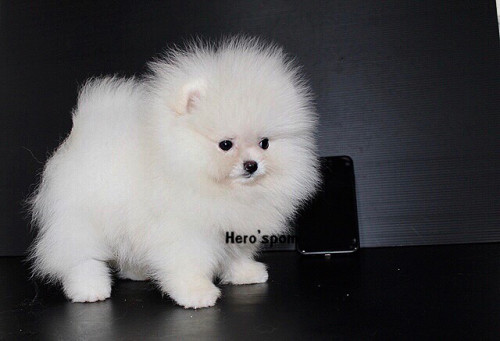 F191 ๑๙๑๒๑๙ 0013