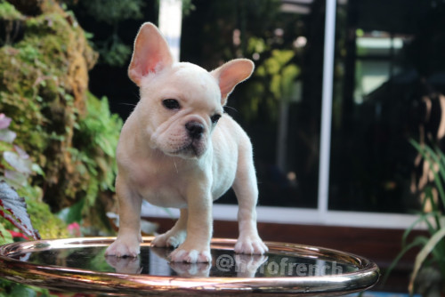 Female ????? 191221 0002