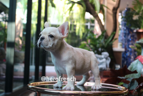 Female ????? 191221 0008