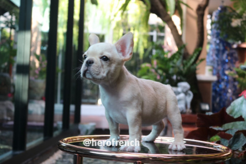 Female ????? 191221 0009