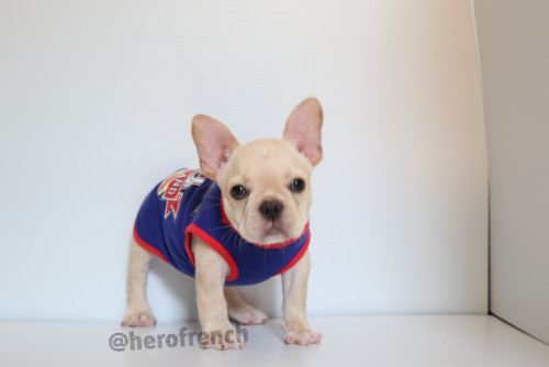 เมีย 191228 0002